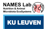 names_kuleuven_logo