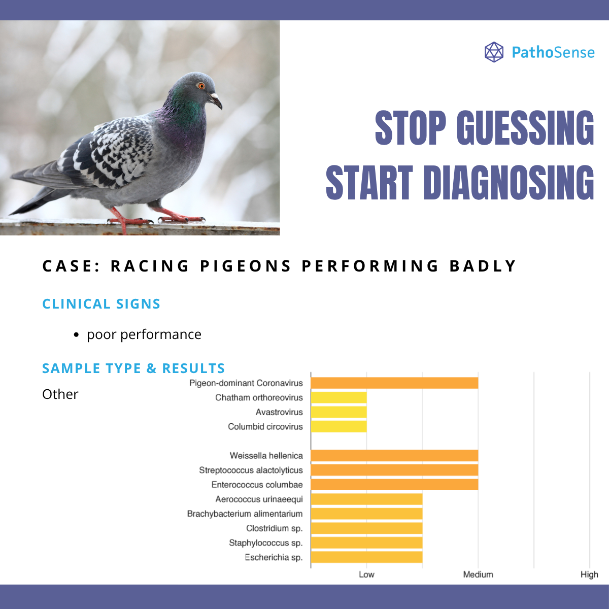 1-Oct-22-2025-08-25-28-2097-AM