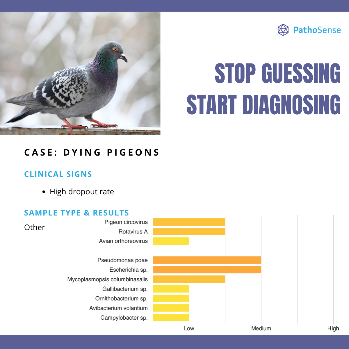 2-Oct-22-2025-08-25-28-2350-AM