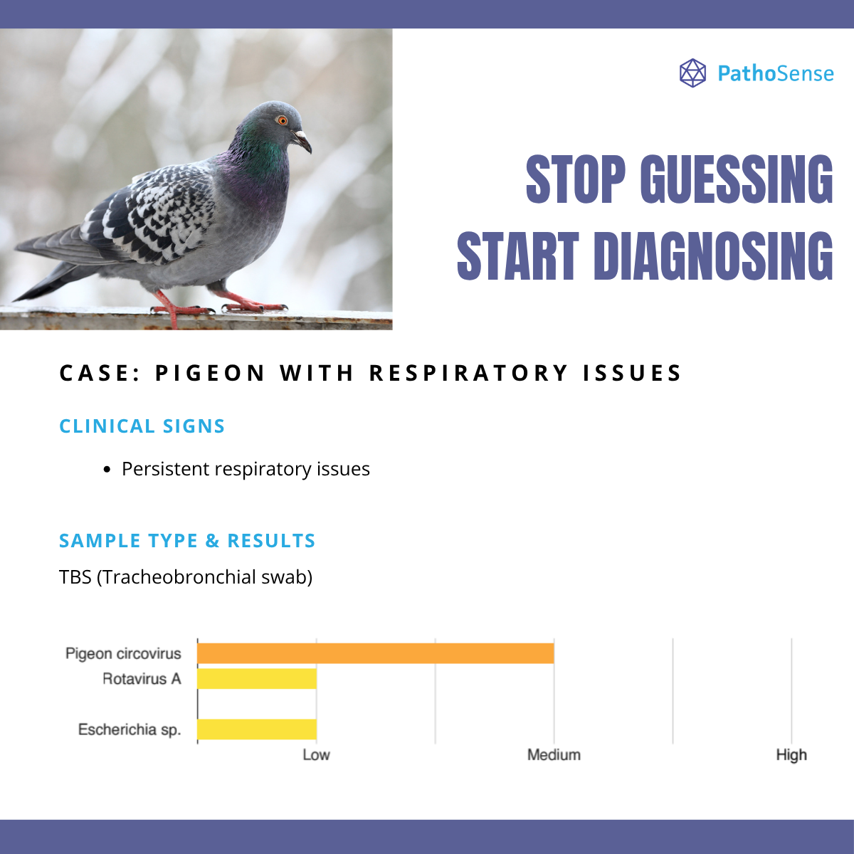 3-Oct-22-2025-08-25-28-2700-AM